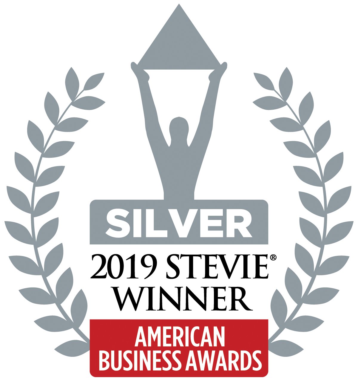 Silver Stevie Award Winner Logo