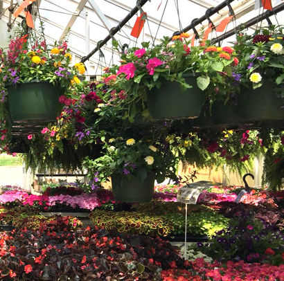 Horticulture Spring Sale