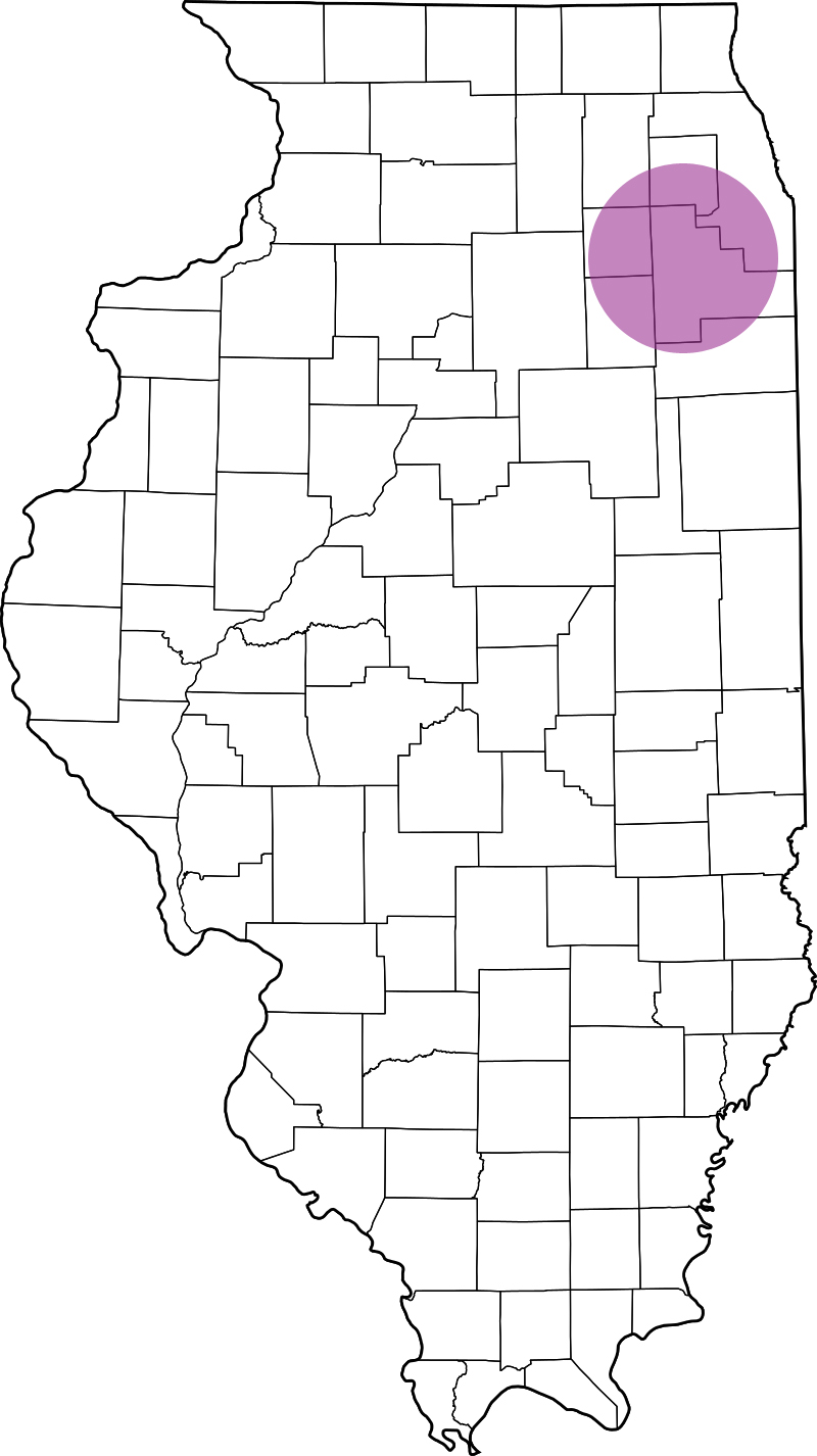 Southwest Suburbs Button