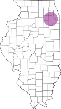 Southwest Suburbs Button